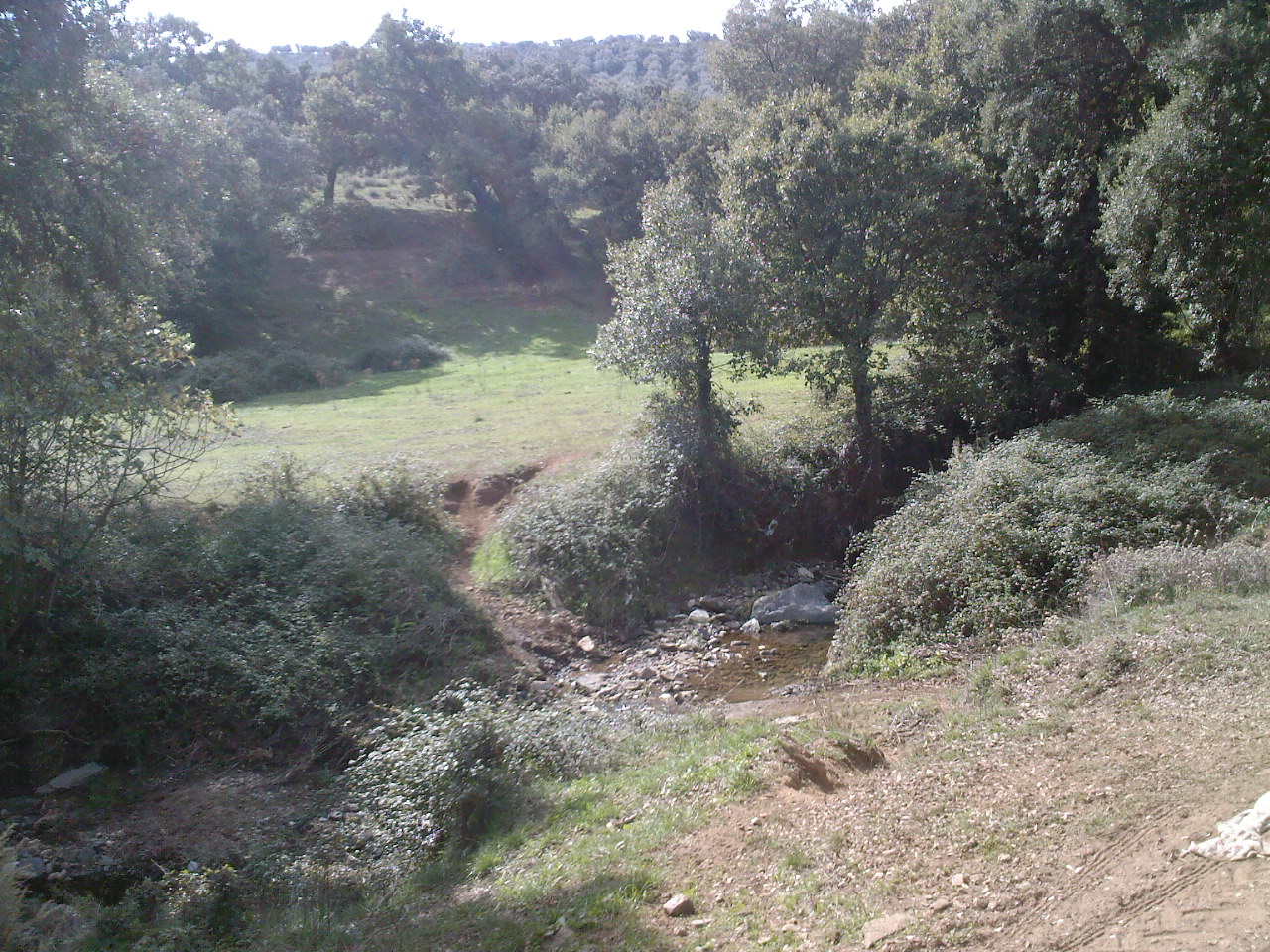 Trabajos Mediambientales;o
